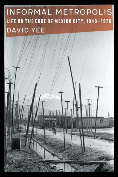 Informal Metropolis av David Yee