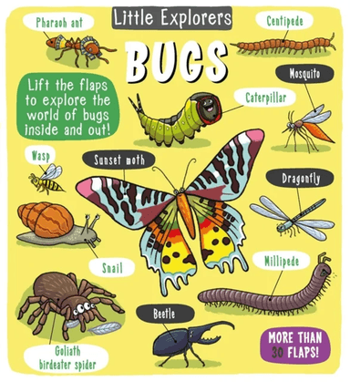 Little Explorers: Bugs av Little Bee Books