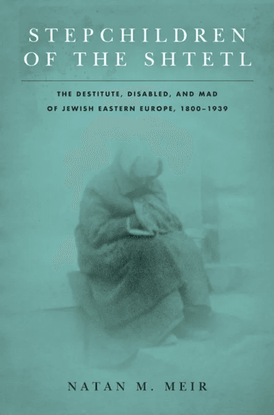 Stepchildren of the Shtetl av Natan M. Meir