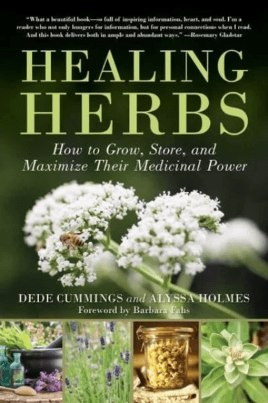 Healing Herbs av Dede Cummings, Alyssa Holmes