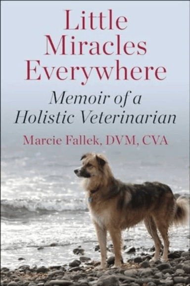 Little Miracles Everywhere av Marcie Fallek