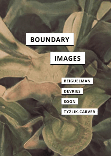Boundary Images av Giselle Beiguelman, Melody Devries, Winnie Soon