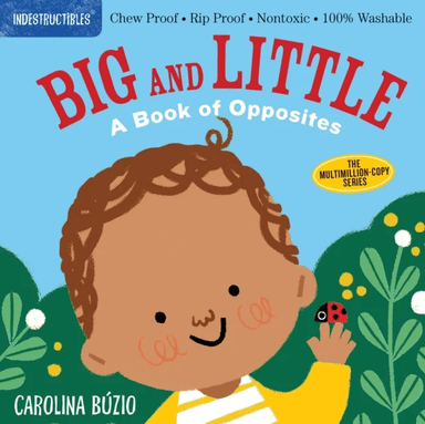 Indestructibles: Big and Little: A Book of Opposites av Amy Pixton