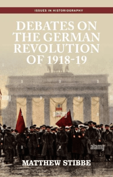 Debates on the German Revolution of 1918-19 av Matthew Stibbe
