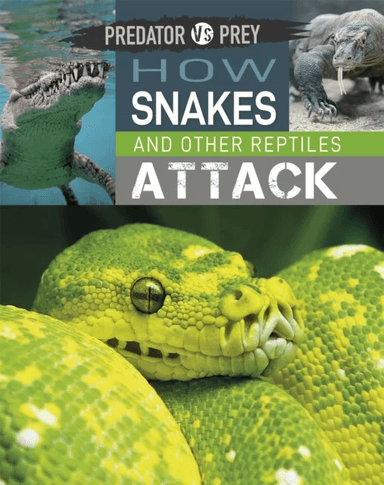 Predator vs Prey: How Snakes and other Reptiles Attack av Tim Harris