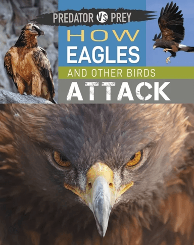 Predator vs Prey: How Eagles and other Birds Attack av Tim Harris