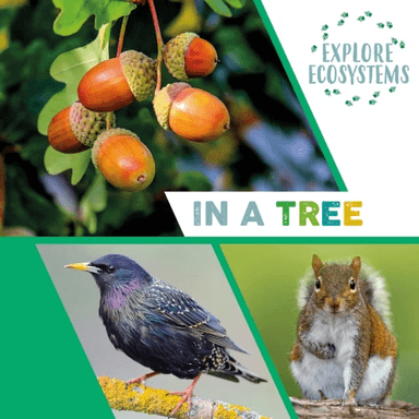 Explore Ecosystems: In a Tree av Sarah Ridley