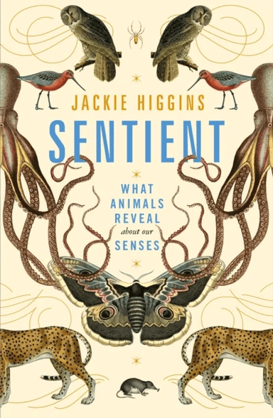 Sentient av Jackie Higgins