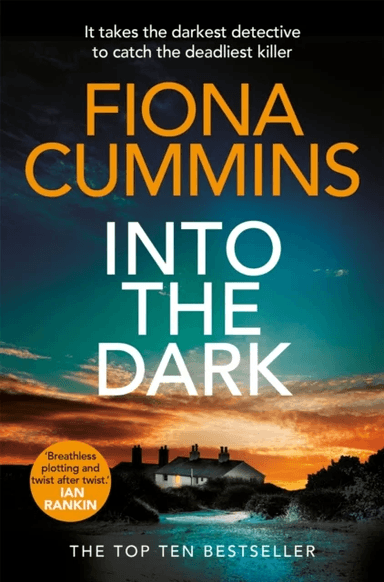 Into the Dark av Fiona Cummins