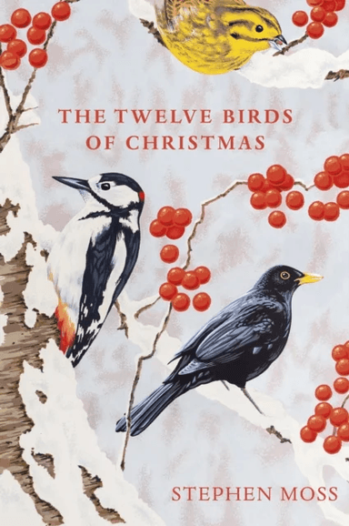 The Twelve Birds of Christmas av Stephen Moss