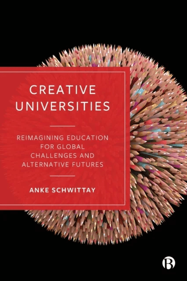 Creative Universities av Anke (University of Sussex) Schwittay