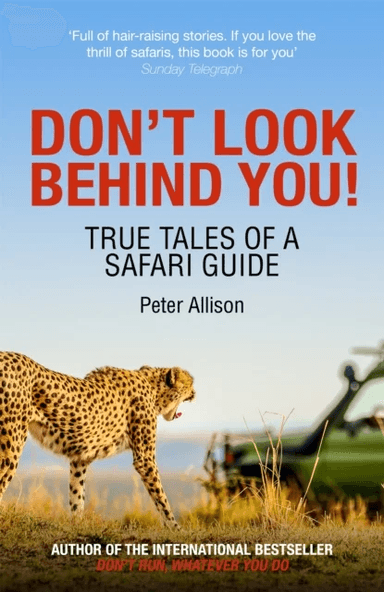 Don't Look Behind You! av Peter Allison