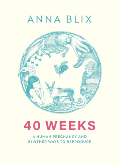 40 Weeks av Anna Blix