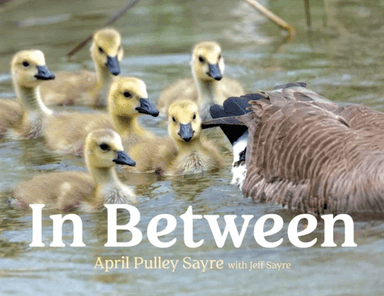 In Between av April Pulley Sayre