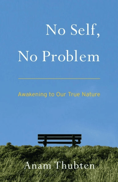 No Self, No Problem av Anam Thubten