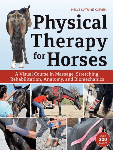 Physical Therapy for Horses av Helle Katrine Kleven