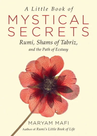 A Little Book of Mystical Secrets av Maryam (Maryam Mafi) Mafi