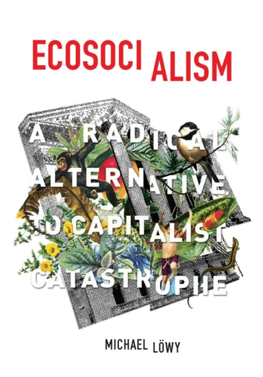 Ecosocialism av Michael Lowy