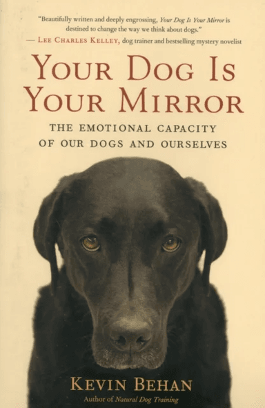 Your Dog is Your Mirror av Kevin Behan