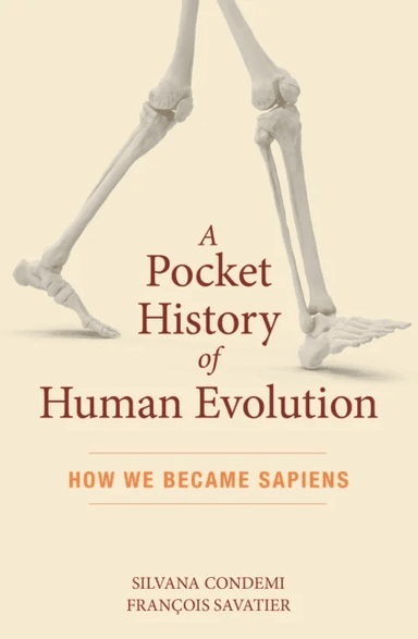 A Pocket History of Human Evolution av Silvana Condemi, Fran ois Savatier