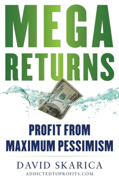 Mega Returns av David Skarica