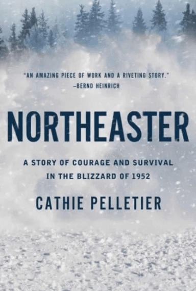 Northeaster av Cathie Pelletier