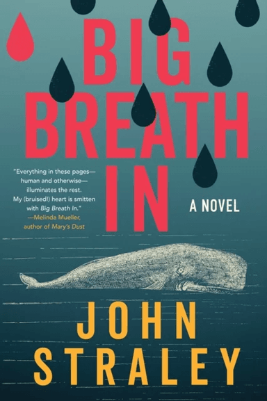 Big Breath In av John Straley