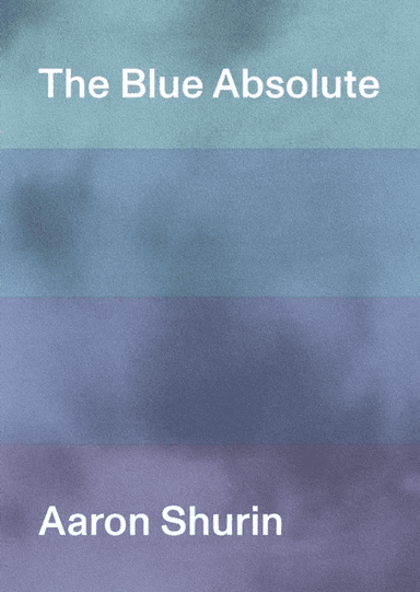 The Blue Absolute av Aaron Shurin