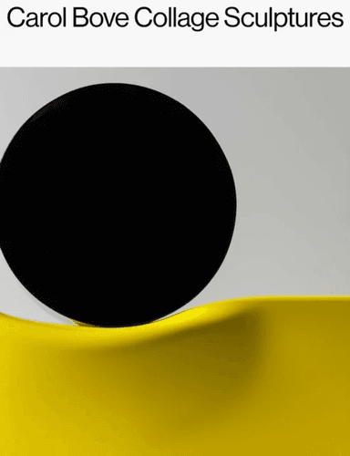 Carol Bove: Collage Sculptures av Carol Bove, Catherine Craft, Lisa Le Feuvre