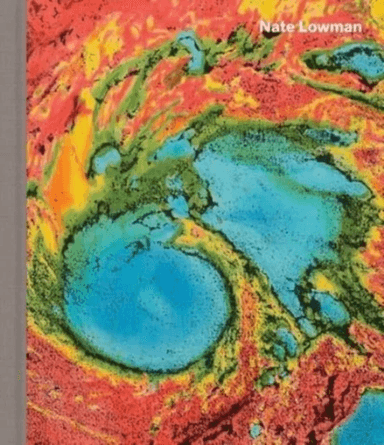 Nate Lowman av Jim Lewis