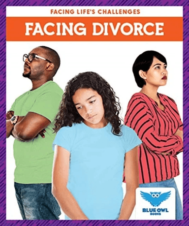Facing Divorce av Stephanie Finne