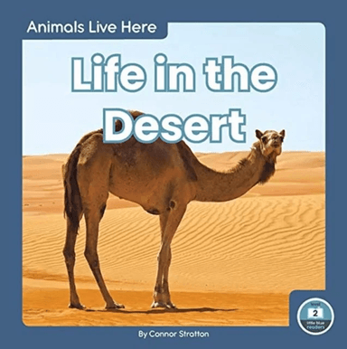 Animals Live Here: Life in the Desert av Connor Stratton