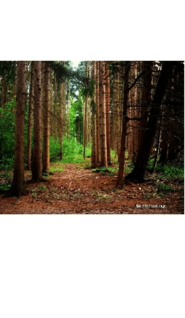 Nature grid style notebook $ir Michael NYC Limited edition av Sir Michael Huhn