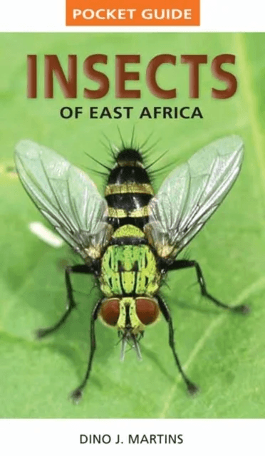 Pocket Guide Insects of East Africa av Dino J. Martins