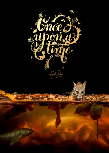 Once Upon A Time av Hannes Lochner