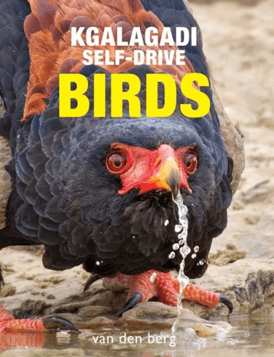 Kgalagadi Self-Drive Birds av Philip van den Berg, Ingrid van den Berg