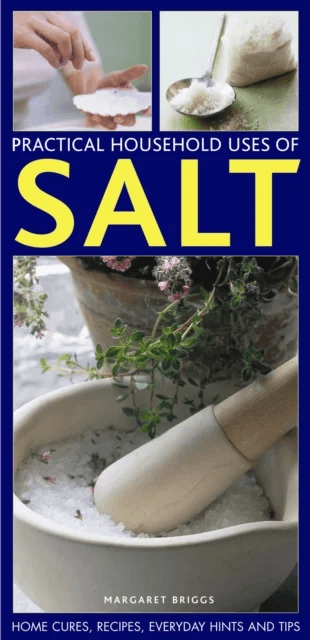 Practical Household Uses of Salt av Margaret Briggs