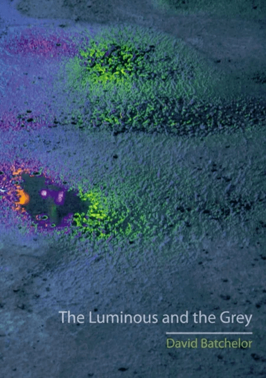 The Luminous and the Grey av David Batchelor