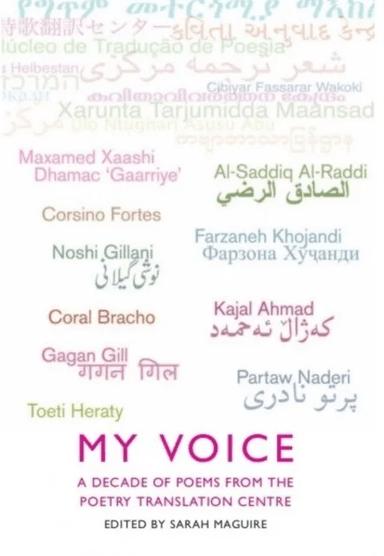 My Voice