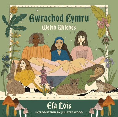 Gwrachod Cymru / Welsh Witches av Efa Lois