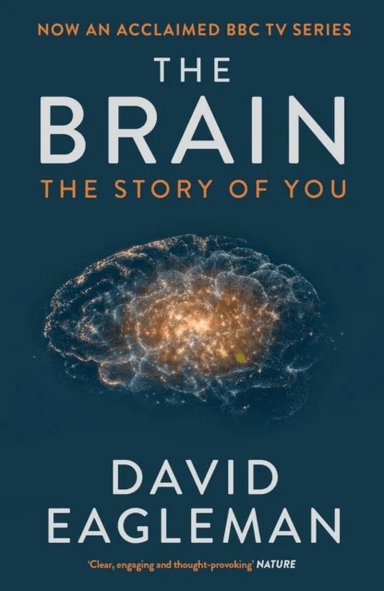 The Brain av David Eagleman