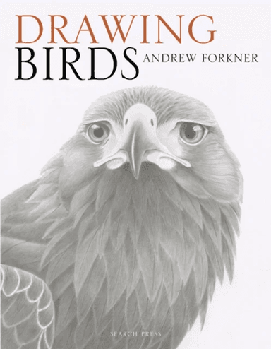 Drawing Birds av Andrew Forkner