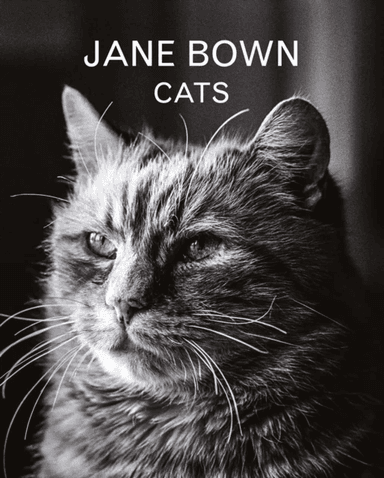 Jane Bown: Cats av Jane Bown