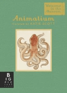 Animalium (Mini Gift Edition) av Jenny Broom