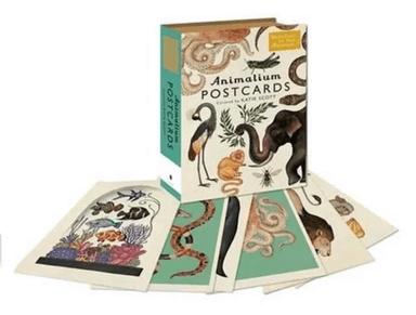 Animalium postcards av Katie Scott