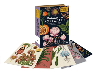 Botanicum postcards av Kathy Willis