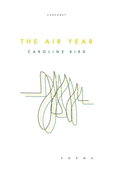 The Air Year av Caroline Bird