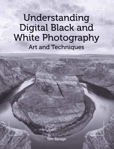 Understanding Digital Black and White Photography av Tim Savage