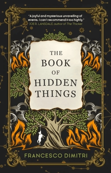 The Book of Hidden Things av Francesco Dimitri