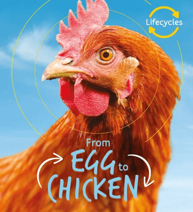 Lifecycles: Egg to Chicken av Camilla De La Bedoyere